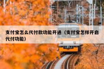 支付宝怎么代付款功能开通（支付宝怎样开启代付功能）