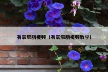 有氧燃脂视频（有氧燃脂视频教学）