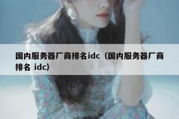 国内服务器厂商排名idc（国内服务器厂商排名 idc）