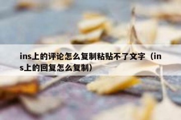ins上的评论怎么复制粘贴不了文字（ins上的回复怎么复制）