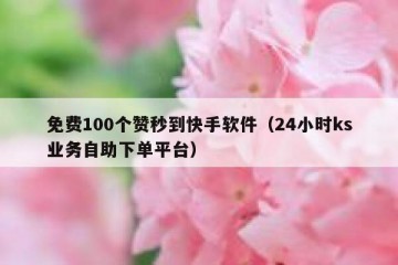 免费100个赞秒到快手软件（24小时ks业务自助下单平台）