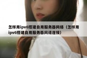 怎样用ipv6搭建自用服务器网络（怎样用ipv6搭建自用服务器网络连接）