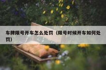 车牌限号开车怎么处罚（限号时候开车如何处罚）