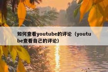 如何查看youtube的评论（youtube查看自己的评论）