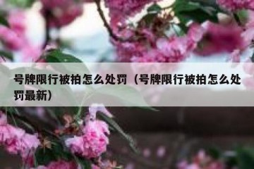 号牌限行被拍怎么处罚（号牌限行被拍怎么处罚最新）