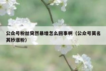 公众号粉丝突然暴增怎么回事啊（公众号莫名其妙涨粉）