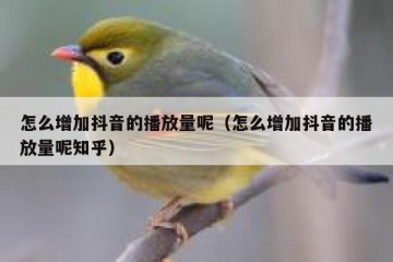 怎么增加抖音的播放量呢（怎么增加抖音的播放量呢知乎）