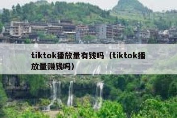 tiktok播放量有钱吗（tiktok播放量赚钱吗）