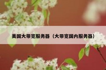 美国大带宽服务器（大带宽国内服务器）