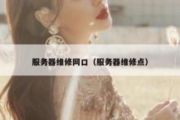 服务器维修网口（服务器维修点）