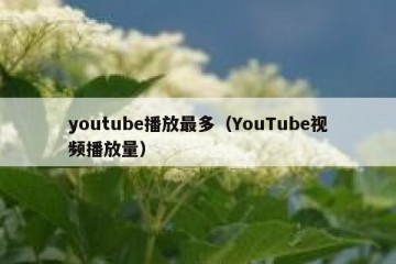 youtube播放最多（YouTube视频播放量）