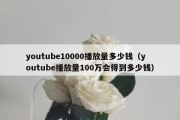 youtube10000播放量多少钱（youtube播放量100万会得到多少钱）
