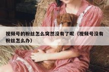 视频号的粉丝怎么突然没有了呢（视频号没有粉丝怎么办）