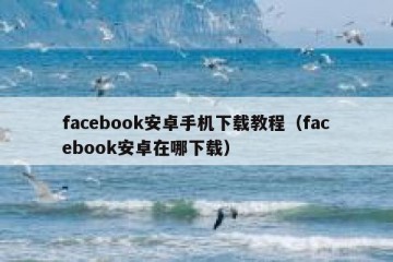 facebook安卓手机下载教程（facebook安卓在哪下载）