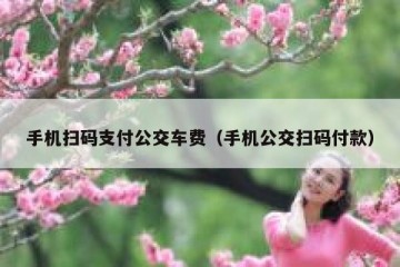 手机扫码支付公交车费（手机公交扫码付款）