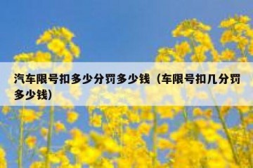 汽车限号扣多少分罚多少钱（车限号扣几分罚多少钱）