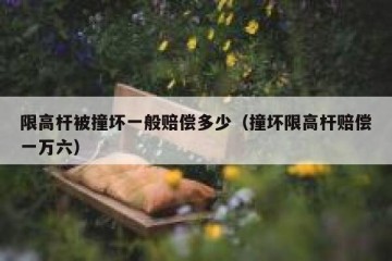限高杆被撞坏一般赔偿多少（撞坏限高杆赔偿一万六）