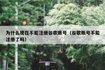 为什么现在不能注册谷歌账号（谷歌账号不能注册了吗）