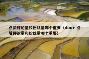 点赞评论量和粉丝量哪个重要（dou+ 点赞评论量和粉丝量哪个重要）
