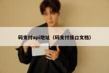 码支付api地址（码支付接口文档）