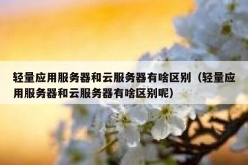 轻量应用服务器和云服务器有啥区别（轻量应用服务器和云服务器有啥区别呢）
