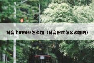 抖音上的粉丝怎么加（抖音粉丝怎么添加的）