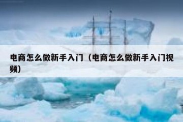 电商怎么做新手入门（电商怎么做新手入门视频）