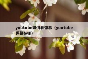 youtube如何看弹幕（youtube弹幕在哪）