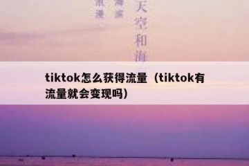 tiktok怎么获得流量（tiktok有流量就会变现吗）