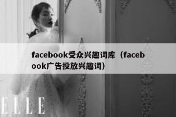 facebook受众兴趣词库（facebook广告投放兴趣词）