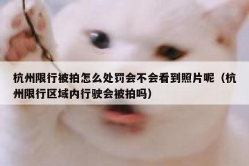 杭州限行被拍怎么处罚会不会看到照片呢（杭州限行区域内行驶会被拍吗）