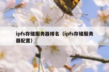 ipfs存储服务器排名（ipfs存储服务器配置）