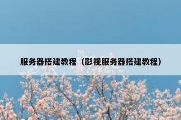 服务器搭建教程（影视服务器搭建教程）