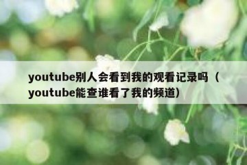 youtube别人会看到我的观看记录吗（youtube能查谁看了我的频道）