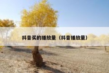 抖音买的播放量（抖音播放量）