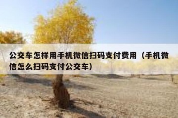 公交车怎样用手机微信扫码支付费用（手机微信怎么扫码支付公交车）