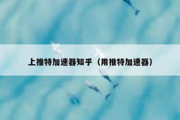 上推特加速器知乎（用推特加速器）