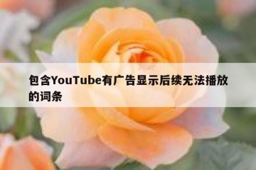 包含YouTube有广告显示后续无法播放的词条