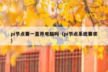pi节点要一直开电脑吗（pi节点系统要求）