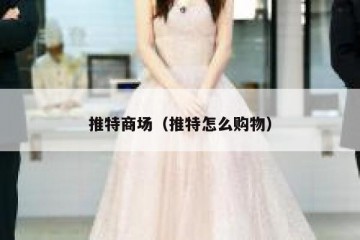 推特商场（推特怎么购物）