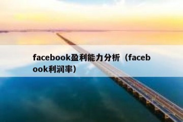 facebook盈利能力分析（facebook利润率）
