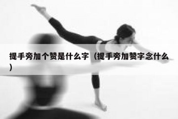 提手旁加个赞是什么字（提手旁加赞字念什么）