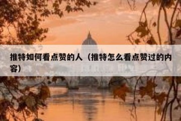 推特如何看点赞的人（推特怎么看点赞过的内容）