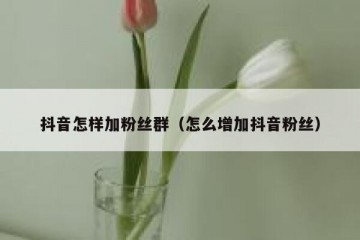 抖音怎样加粉丝群（怎么增加抖音粉丝）