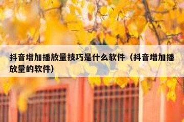 抖音增加播放量技巧是什么软件（抖音增加播放量的软件）