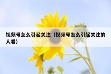 视频号怎么引起关注（视频号怎么引起关注的人看）
