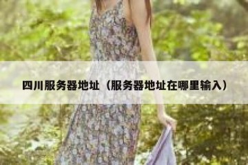 四川服务器地址（服务器地址在哪里输入）