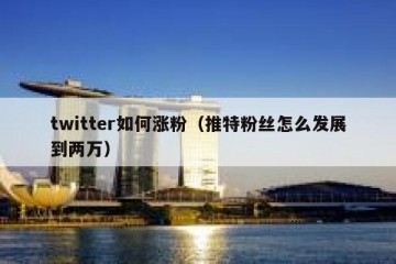 twitter如何涨粉（推特粉丝怎么发展到两万）