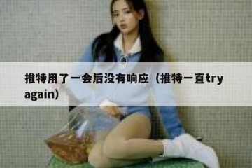 推特用了一会后没有响应（推特一直try again）