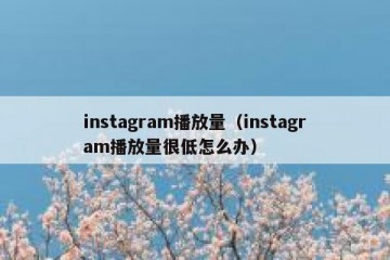 instagram播放量（instagram播放量很低怎么办）